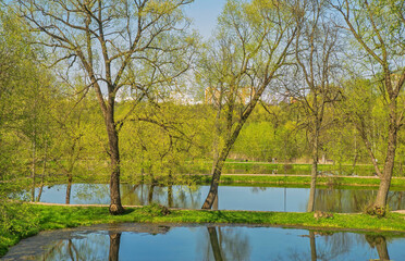 Ponds at estate Lopasnya-Zachatyevskoe in Chekhov (former Lopasnya). Russia