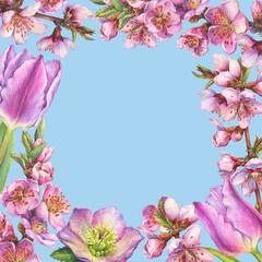 Floral square frame with pink sakura flower, hellebore, tulip for decoration, greeting card, invitation. Watercolor hand drawn painting illustration isolated on a blue background.