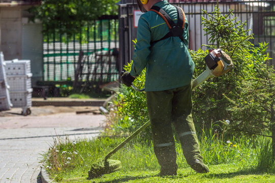 Professional Mowing Of Grass Between Trees