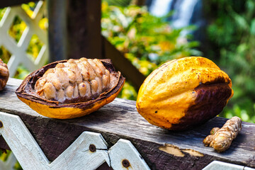 Tropical fruits near Concord Falls on the Island Of Grenada, Lesser Antilles - obrazy, fototapety, plakaty