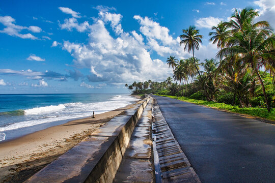 View of Antoine bay with tropical beach on Grenada island, Lesser Antilles