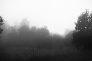 Fototapeta na wymiar Fog in the lake. Morning nature water white fog.