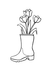 Vector outline spring tulip flowers in rubber rain boots. Cute seasonal spring floral illustration. Shoes as vase. Hand drawn design element, clip art in doodle style, isolated.