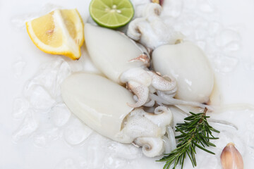 Seafood squid on ice for cooking food in the restaurant, Fresh raw octopus cuttlefish ocean gourmet...
