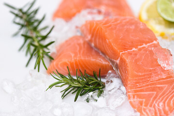 Fresh salmon fish on ice, Raw salmon filet with lemon rosemary herbs and spices