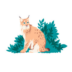 Asian lynx isolated vector illustration. Big eurasian cat sitting in bushes design element. Wildlife Asian animal in realistic style. © SickleMoon