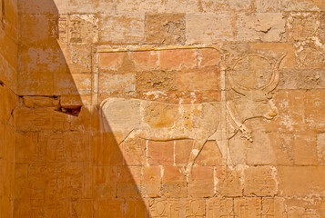 Apis bull on the wall in the Mortuary Temple of Hatshepsut, Egypt
