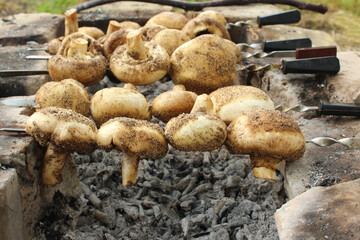 Champignon mushrooms are fried on skewers. Side view of frying mushrooms on a homemade stone grill. Thematic recipe for making champignons