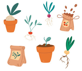 Set of Seedlings. Seeds, fertilizers, seedlings, pot with sprouts, root crops. Growing plants in containers. Gardening, spring seedlings, growing vegetables. Vector illustration flat design.