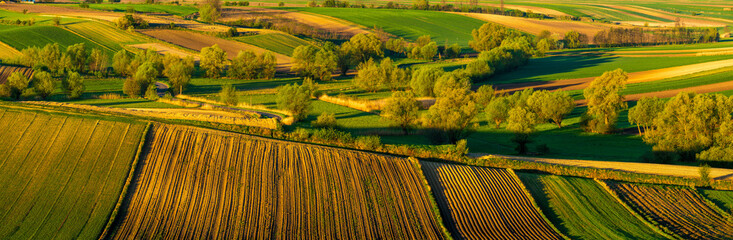 spring panorama of fields on farmland cultivated extensively and ecologically