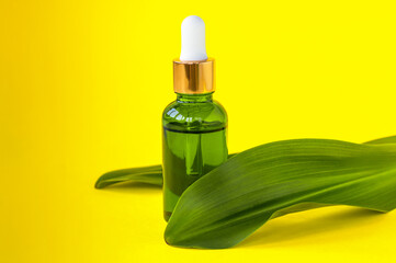 Serum bottle on green leaf. Trendy beauty product for young skin. Additional moisturizing step in...