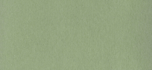Clean green cardboard paper background texture. Horizontal banner