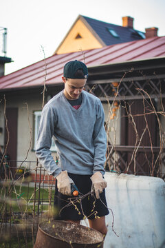 Swarthy boy of European descent with work gloves and special garden shears cuts branches into a barrel for later processing and burning on the fireplace. Starting work in the garden.