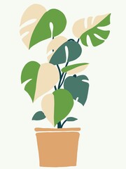 Simplicity monstera plant freehand drawing flat design.