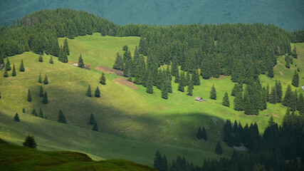 Sun lighting a hillside on which a wooden sheepfold was built. Spruce trees grow on the alpine pasture. Countryside eastern European landscape. Carpathia, Romania.