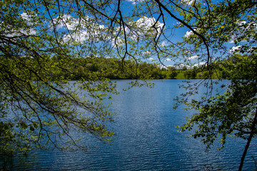 The view of the Weinfelder Maar on a sunny spring day