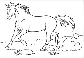 a sketch of a horse