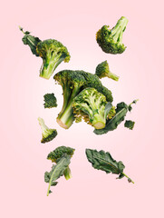 Cut broccolis cut into pieces flying and falling down in the air against pastel pink background. Creative food concept. Fresh and green vegetable ingredient composition.