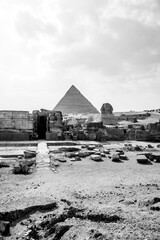 Fototapeta na wymiar Vertical black and white shot of the Great Pyramid in Giza, Egypt and the Sphinx