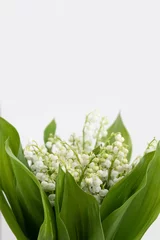 Fototapeten Bunch of fresh lily of the valley flowers on white background close up. Space for text © Gioia