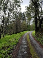 Fototapeta na wymiar Camino rural en una aldea del interior de Galicia