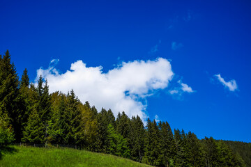 landscape with blue sky