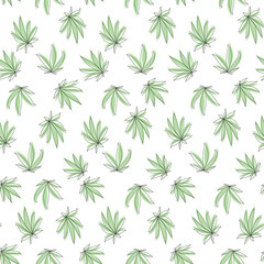 Seamless pattern with green cannabis leaf on white background.