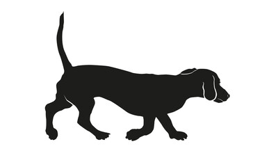 Running dachshund puppy. Black dog silhouette. Wiener dog or sausage dog. Pet animals. Isolated on a white background.