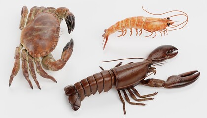 Realistic 3D Render of Crustacean (Edible)
