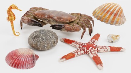 Realistic 3D Render of Sea Animals