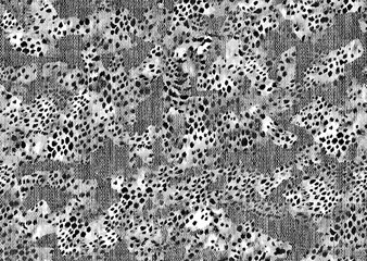 abstract seamless animal skin pattern