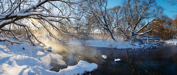 Winter landscape with trees and snow