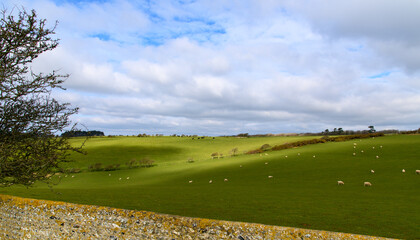South Downs view