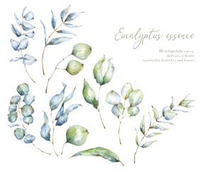 Hand painted watercolor blue, grey and green eucalyptus branches and leaves, watercolor with granulation, curvy branches, eucalyptus clipart, botanical illustration, florals, greenery, foliage