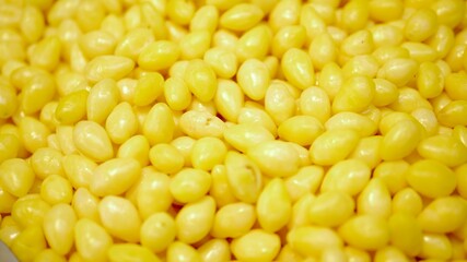 Boiled ginkgo nuts for background, yellow seeds good for medicine.