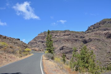the road to the mountains