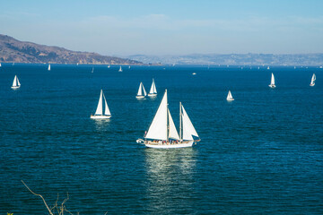 Naklejka premium sailing on the sea