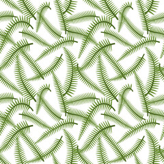 Simple minimal green fern leaves tropical seamless pattern. White background. Flat jungle foliage modern texture. Stock vector illustration.