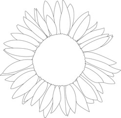 Monochrome sunflower. Page for coloring book. Simple flower.