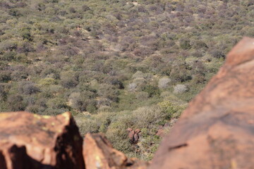 View from Waterberg plateau park on the Kalahari desert. Reserve for endangered species. Landscape.