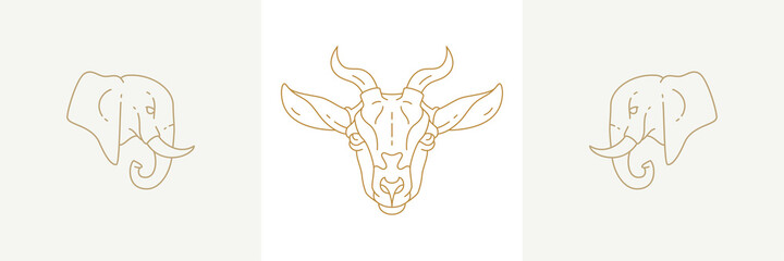 Heads of elephants and goat in linear style vector illustrations set.