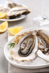 Fresh oysters with rosemary and ice on grey table, closeup