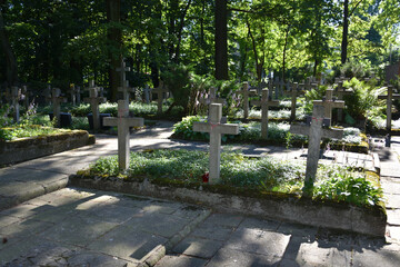 Cemetary, graveyard with rows of gravestones in the shape of Christian crosses - 436632646