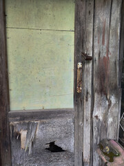 An old door with a hole and a lock. There is a barn lock on the door and a hole at the bottom. Dilapidated door to the room.