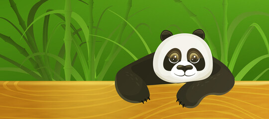Bright banner with cute playful happy big panda bear face baby illustration cute background