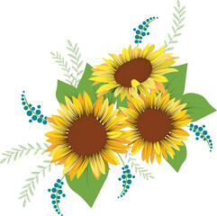 Three sunflowers and leaves on white background. Botanical background. Concept for postcard, poster, card, invitations and wedding stationery design. 