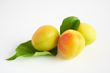 日本の梅の実を白バックで