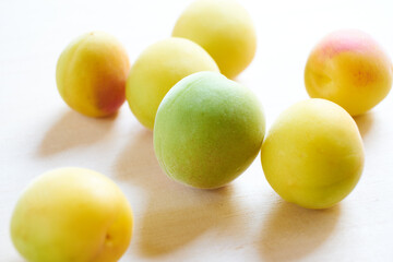 日本の梅の実を白バックで