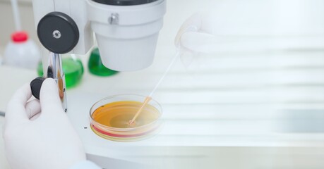 Composition of scientist using microscope in laboratory and copy space