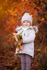 baby girl in autumn park playing with leaves